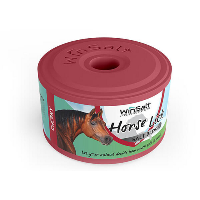 WinSalt Pure Salt Cherry Equine Lick 2kg