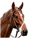 Barnsby cheek protectors Face Piece Bit Holder