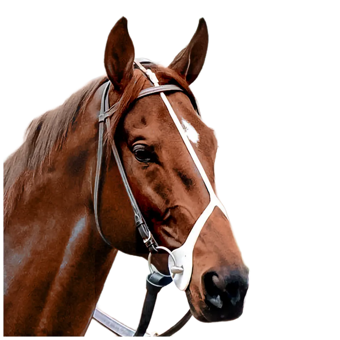 Barnsby cheek protectors Face Piece Bit Holder