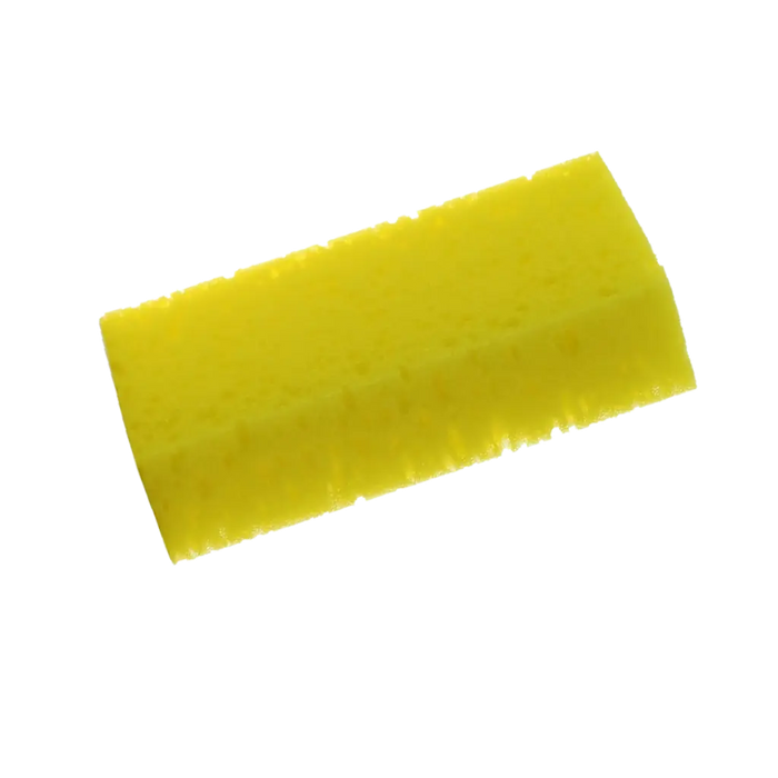 Sponge Grooming