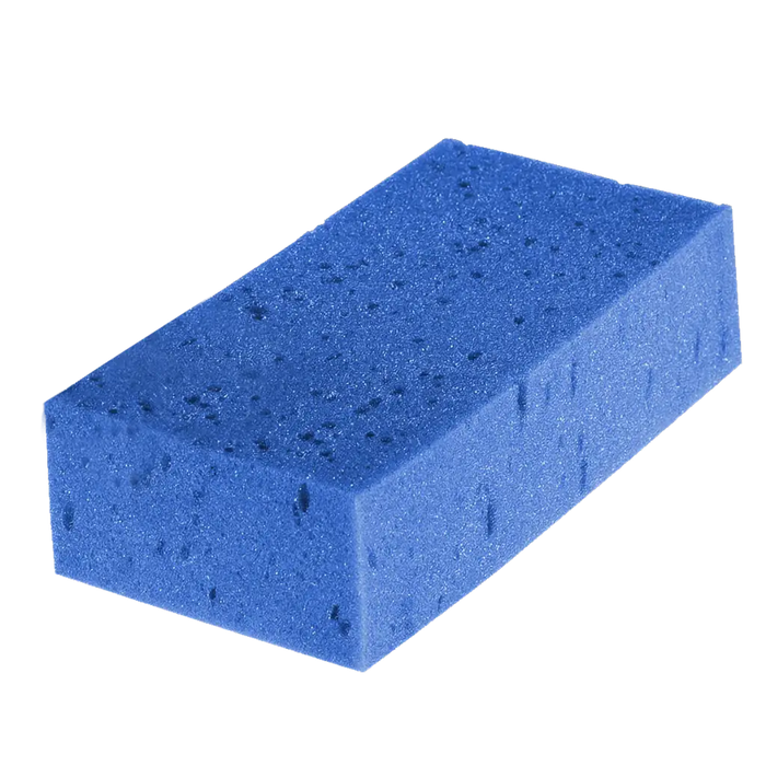 Sponge Grooming