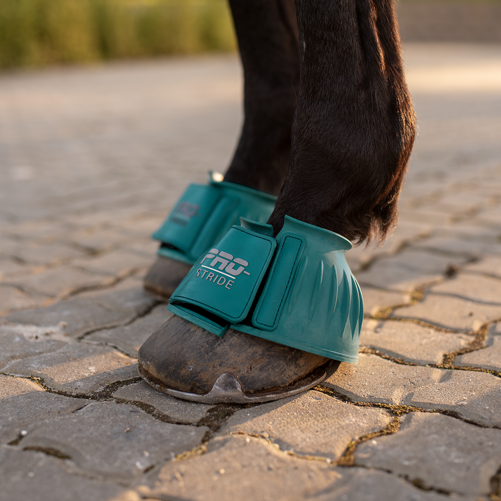 Pro Stride Over Reach Boots Velcro Teal - Horse Protection