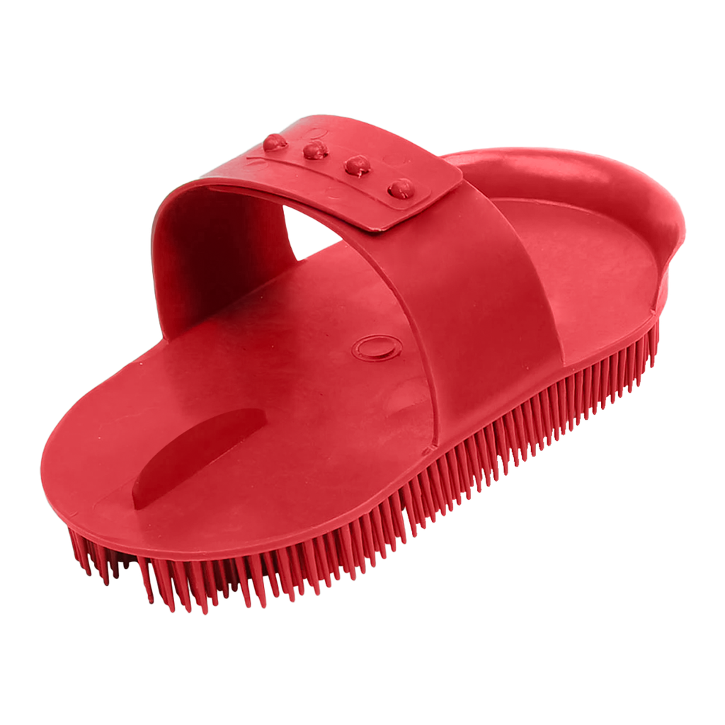 Curry comb sarvis large Show Time