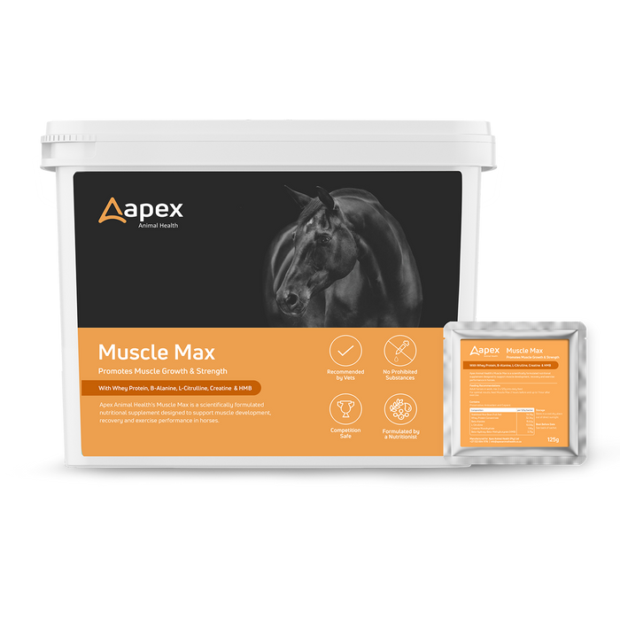 Apex Muscle Max 60x 125g Satchet