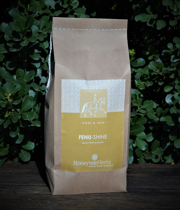 Honeyvale Fenu shine 6kg