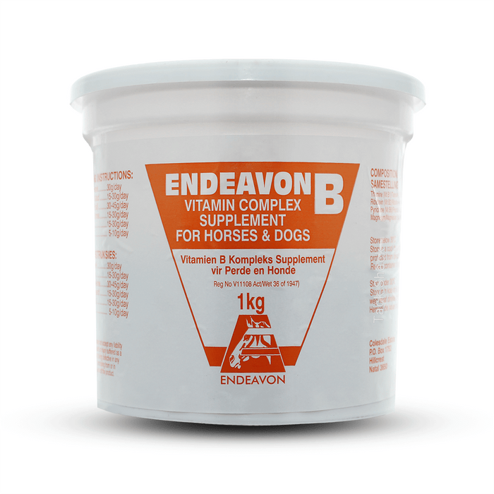 Endeavon b vitamin 1kg for horse and dogs