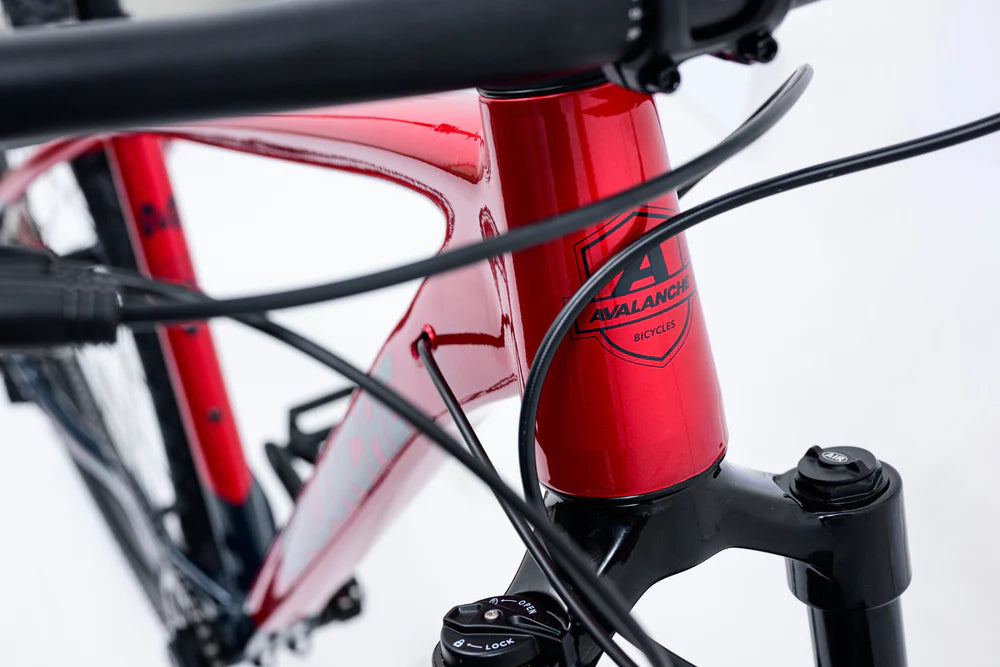 Avalanche Bike REFLEX Team 29ER BLACK/RED