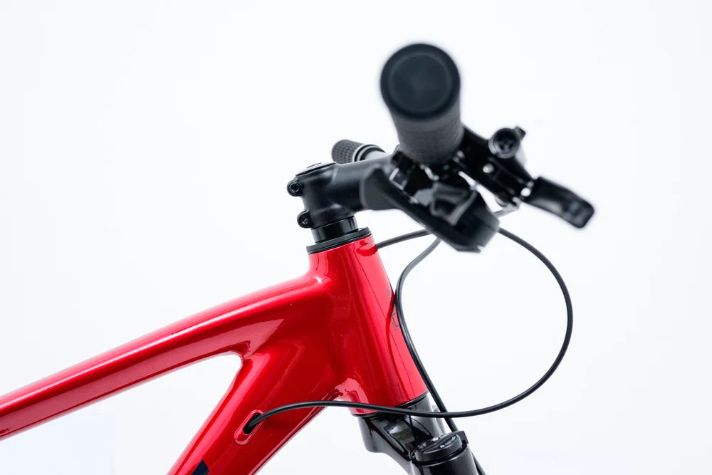 Avalanche Bike REFLEX Team 29ER BLACK/RED