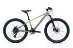 Avalanche IGNITE 24"  Boys Sand/Green