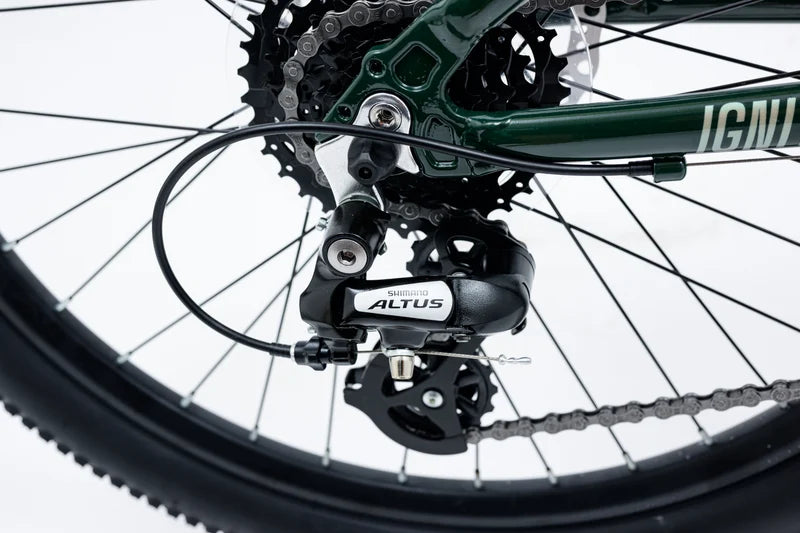 Avalanche Bike IGNITE 24 - Boys, Sand Green