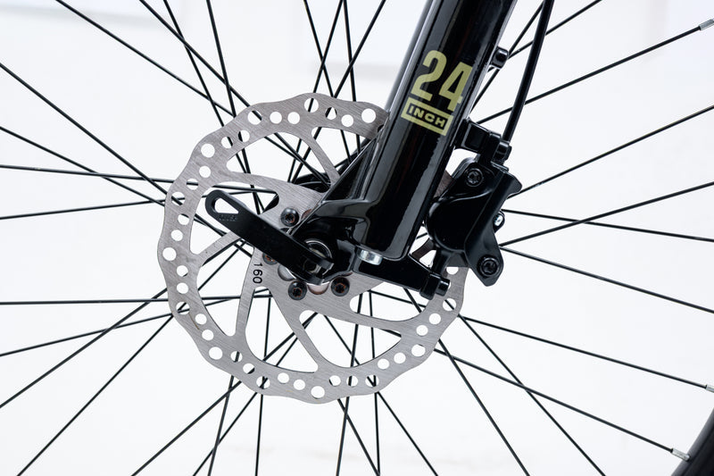 Avalanche Bike IGNITE 24 - Boys, Sand Green