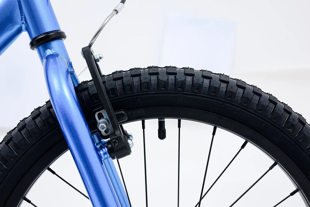 Avalanche Bike ANTIX 20" BOYS BLUE/BLACK