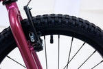 Avalanche Bike ANTIX 20" GIRLS RHUBARB/CUSTARD