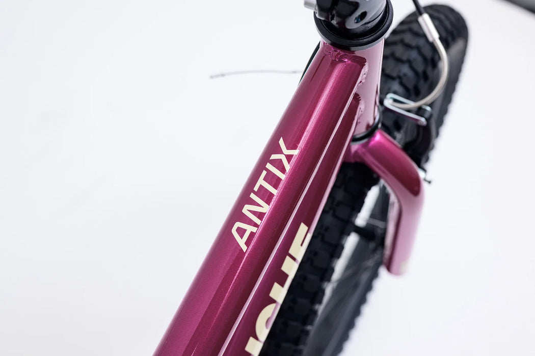 Avalanche Bike ANTIX 20" GIRLS RHUBARB/CUSTARD