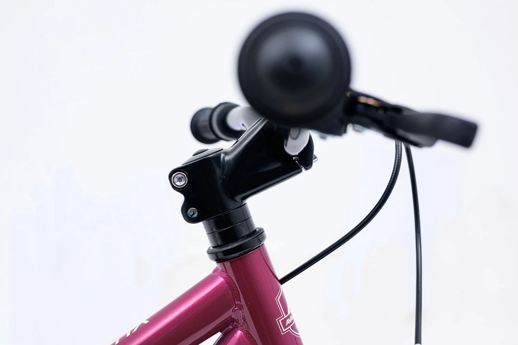 Avalanche Bike ANTIX 20" GIRLS RHUBARB/CUSTARD