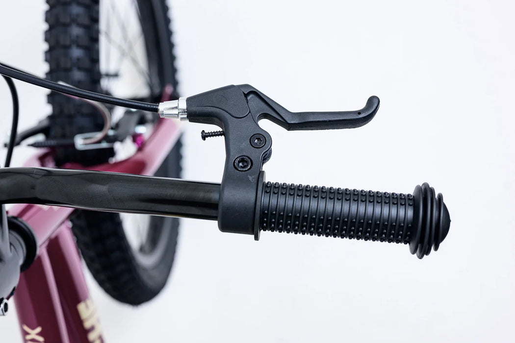 Avalanche Bike ANTIX 20" GIRLS RHUBARB/CUSTARD