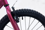 Avalanche Bike ANTIX 20" GIRLS RHUBARB/CUSTARD