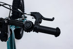 Avalanche Bike TURBO 14 Inch BOYS - GREEN/GREY