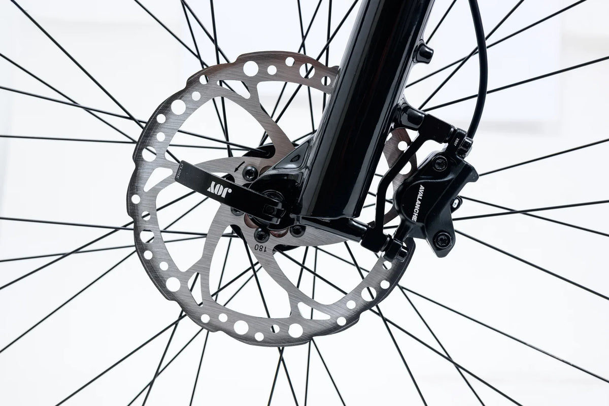 Avalanche Electric Bike MTe - Premium Long Range Battery