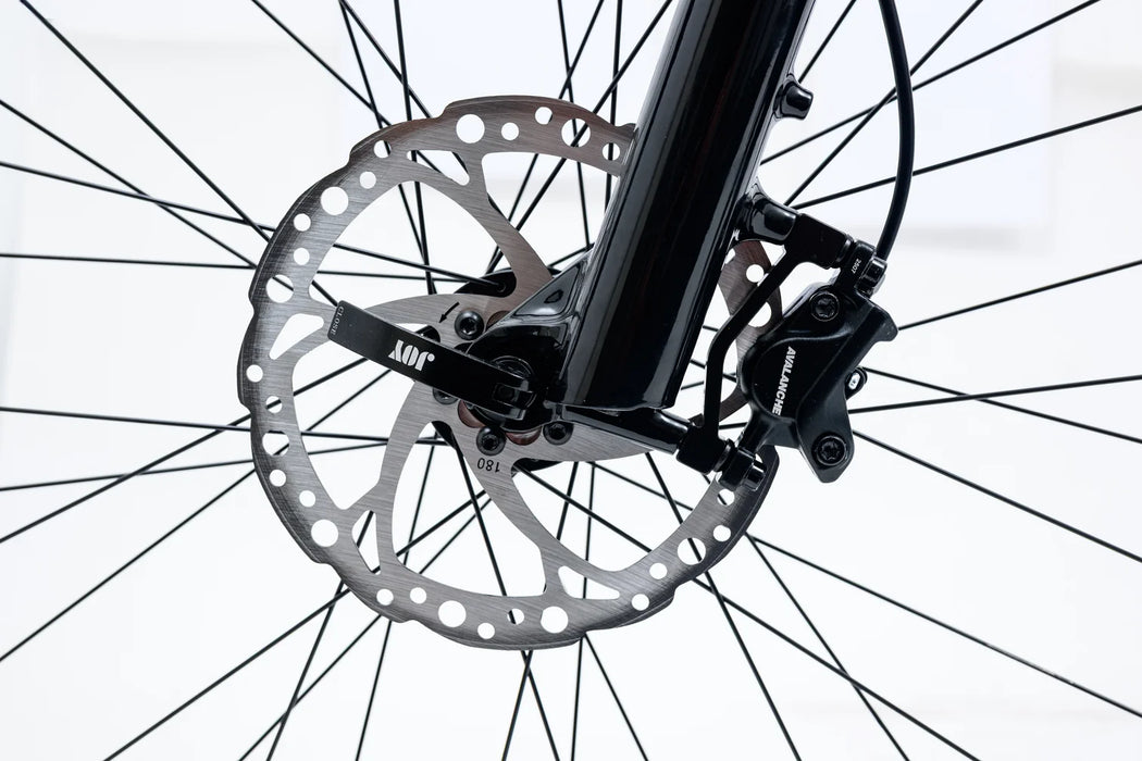 Avalanche Electric Bike MTe - Premium E-MTB with Long Range Battery