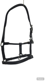 Equisport Show Halter leather Black with NP  Buckles
