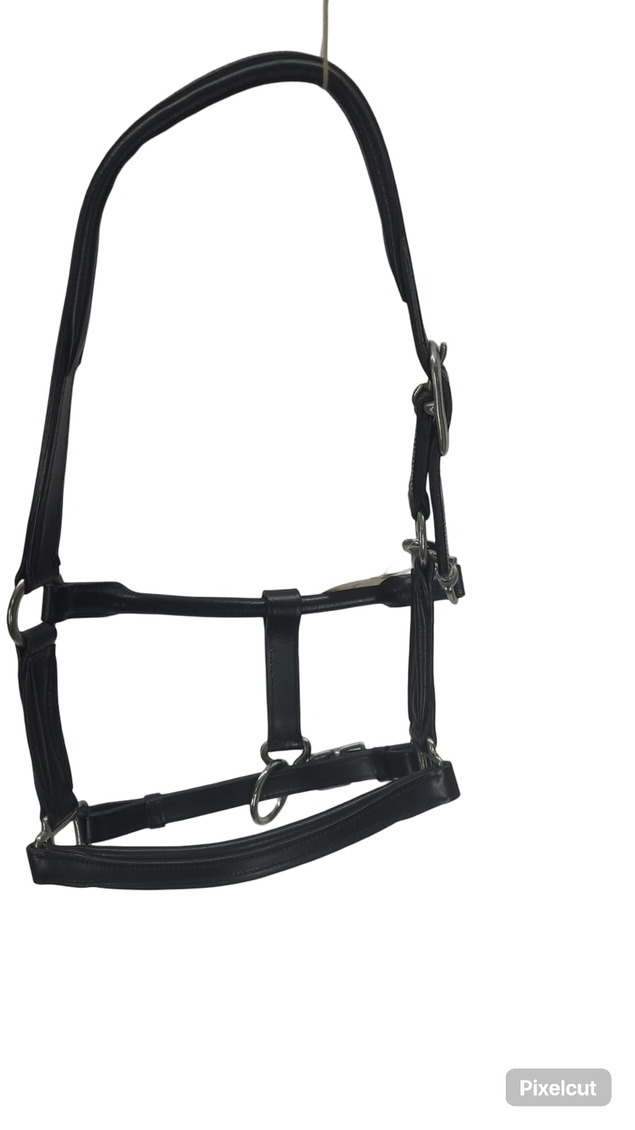 Equisport Show Halter leather Black with NP  Buckles