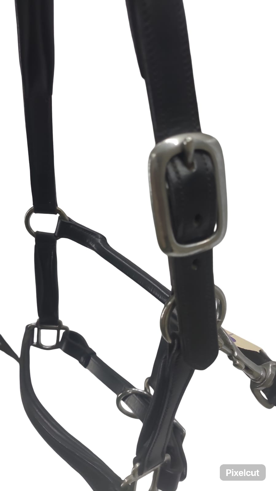 Equisport Show Halter leather Black with NP  Buckles