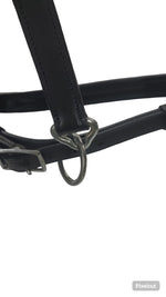 Equisport Show Halter leather Black with NP  Buckles