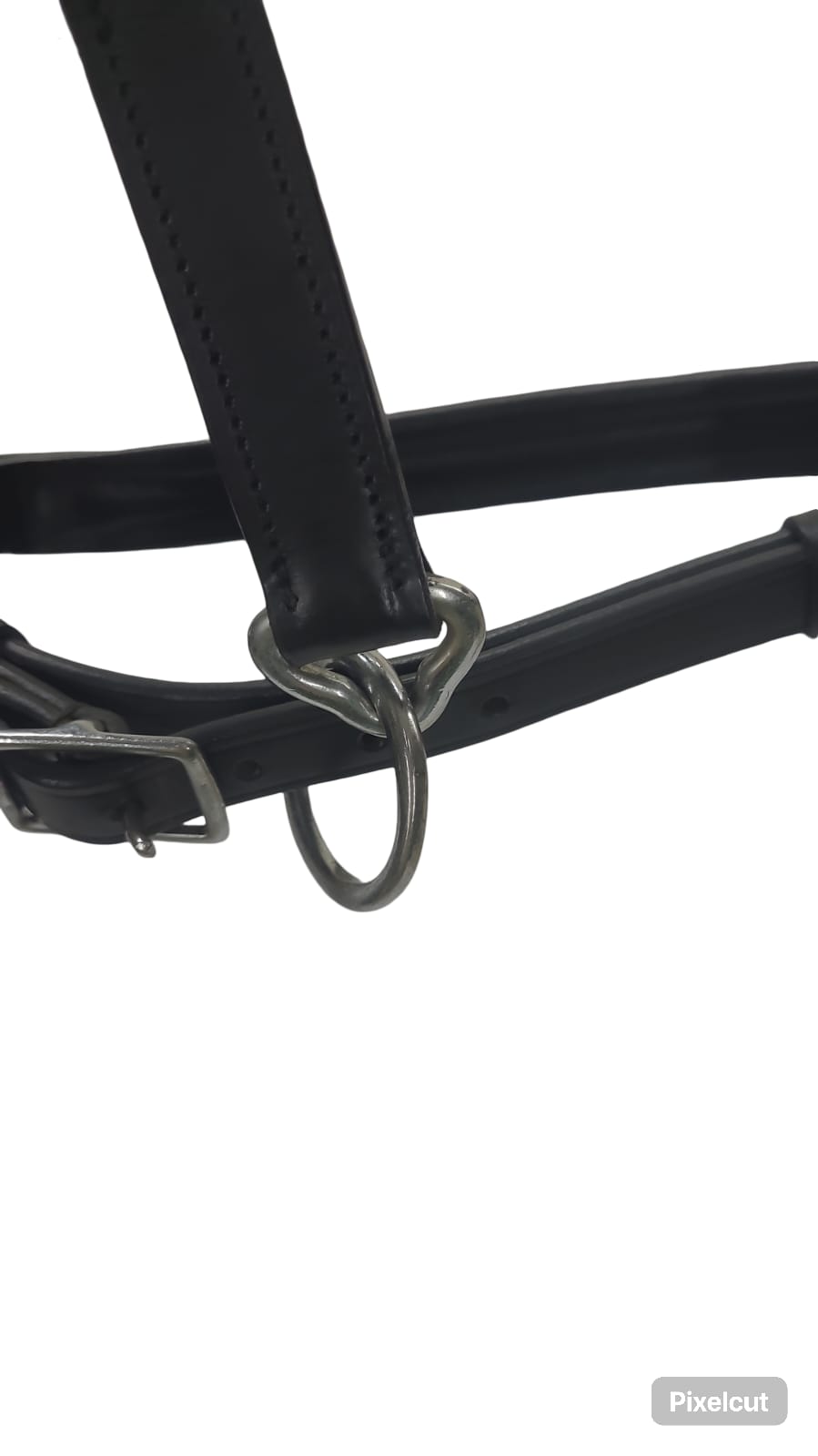 Equisport Show Halter leather Black with NP  Buckles