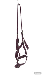 Halter, exim padded with lead