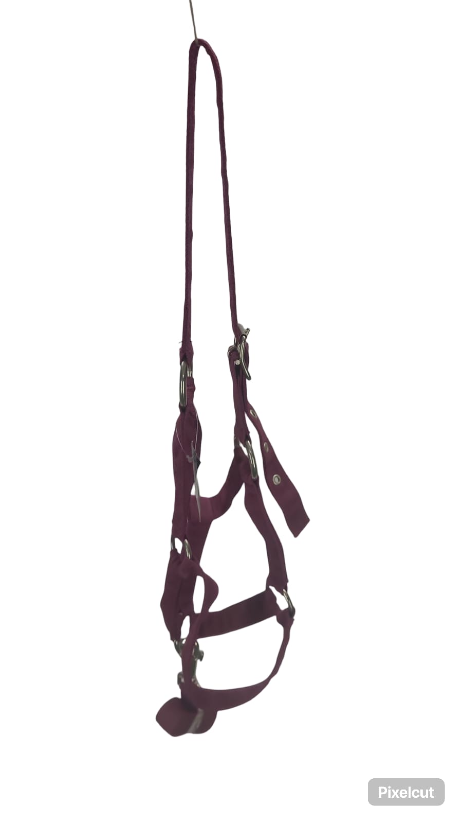 Halter, exim padded with lead