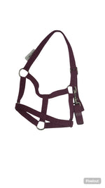 Halter, exim padded with lead