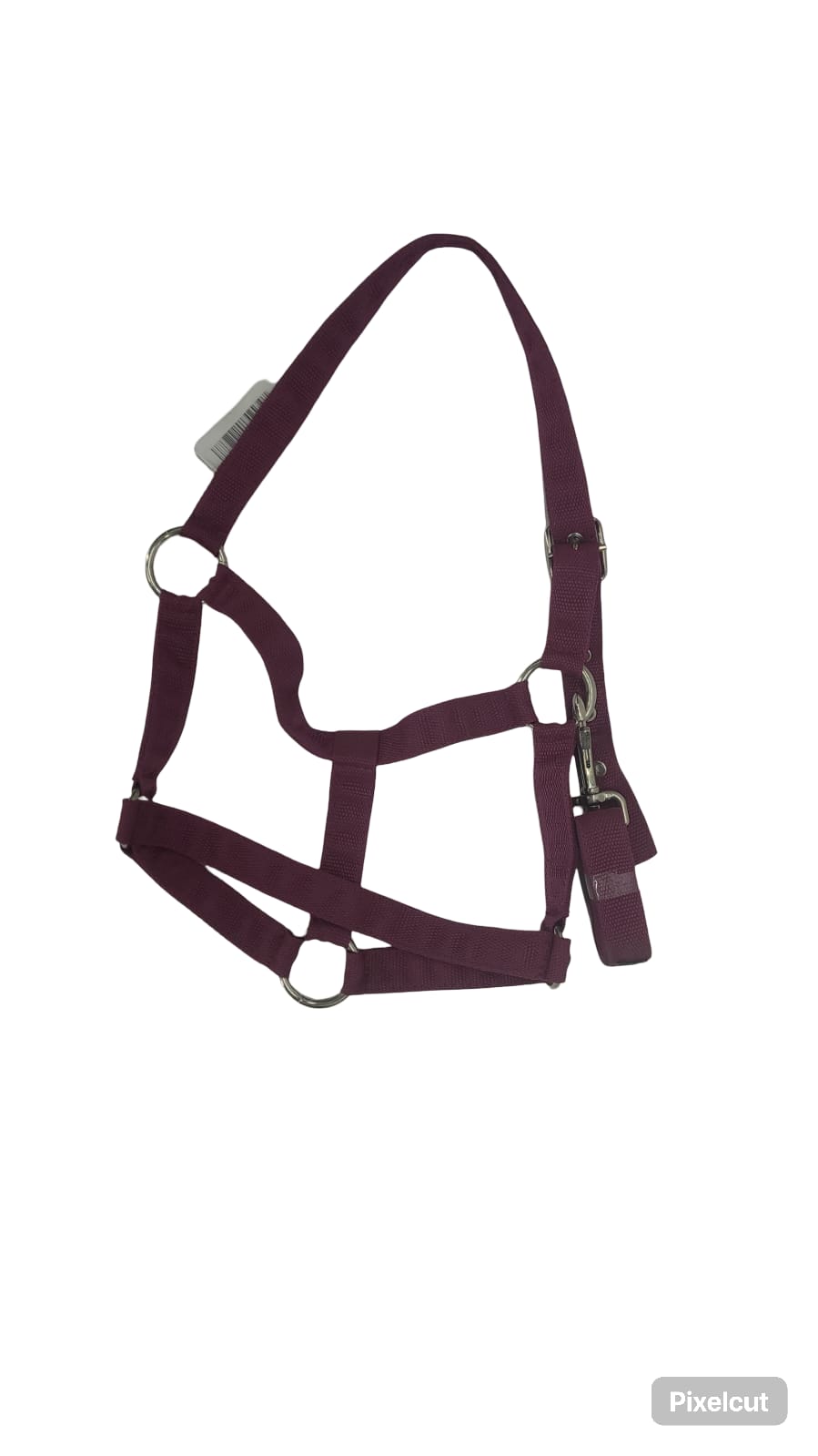 Halter, exim padded with lead