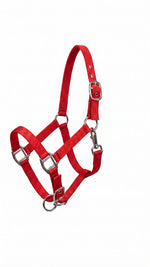 Ridepro Halter Foal No Lead