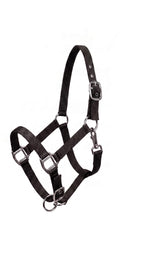 Ridepro Halter Foal No Lead