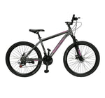Bicycle Planet 26Inch Trendy