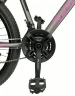 Bicycle Planet 26Inch Trendy