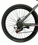 Bicycle Planet 26Inch Trendy