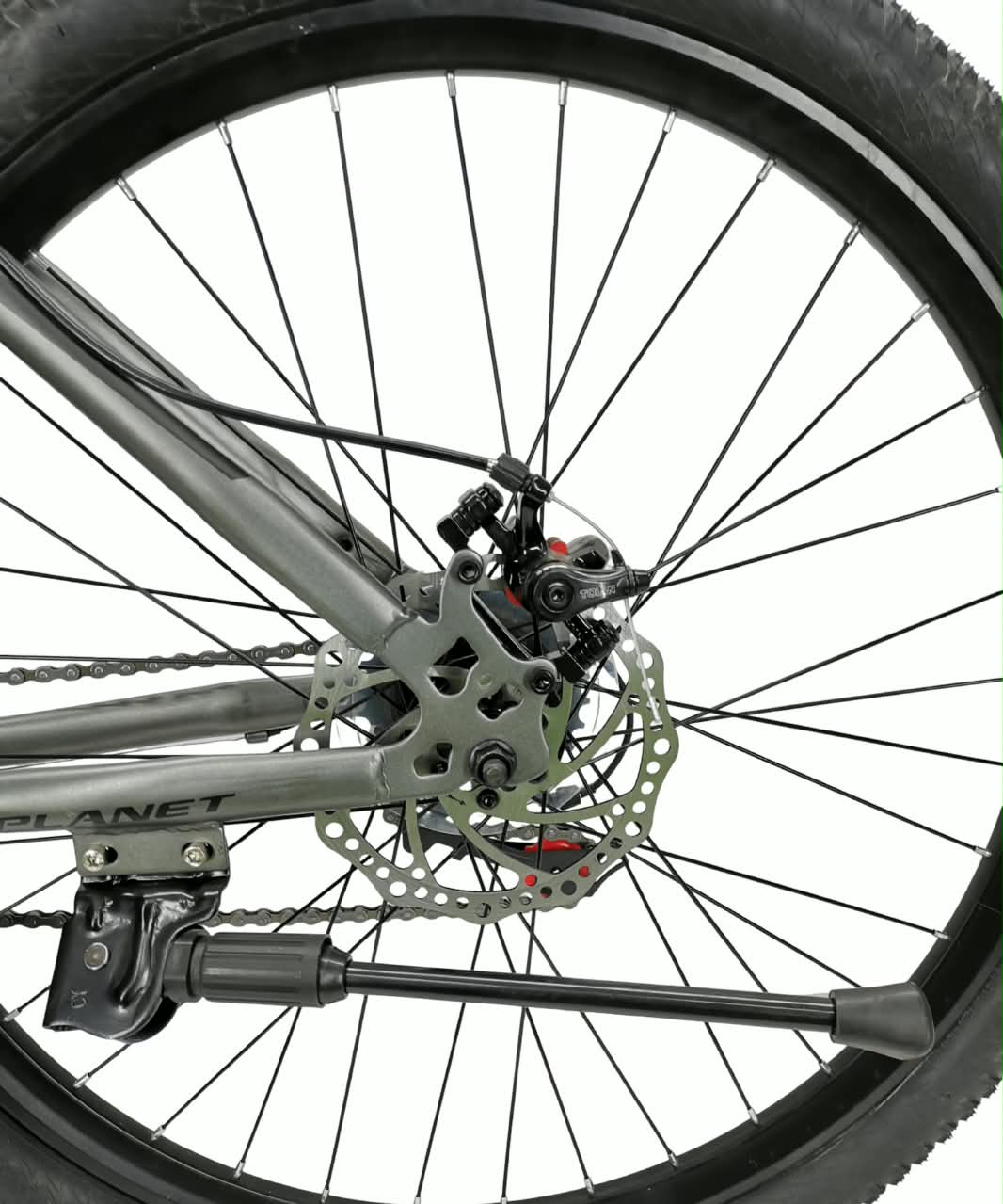 Bicycle Planet 26Inch Trendy