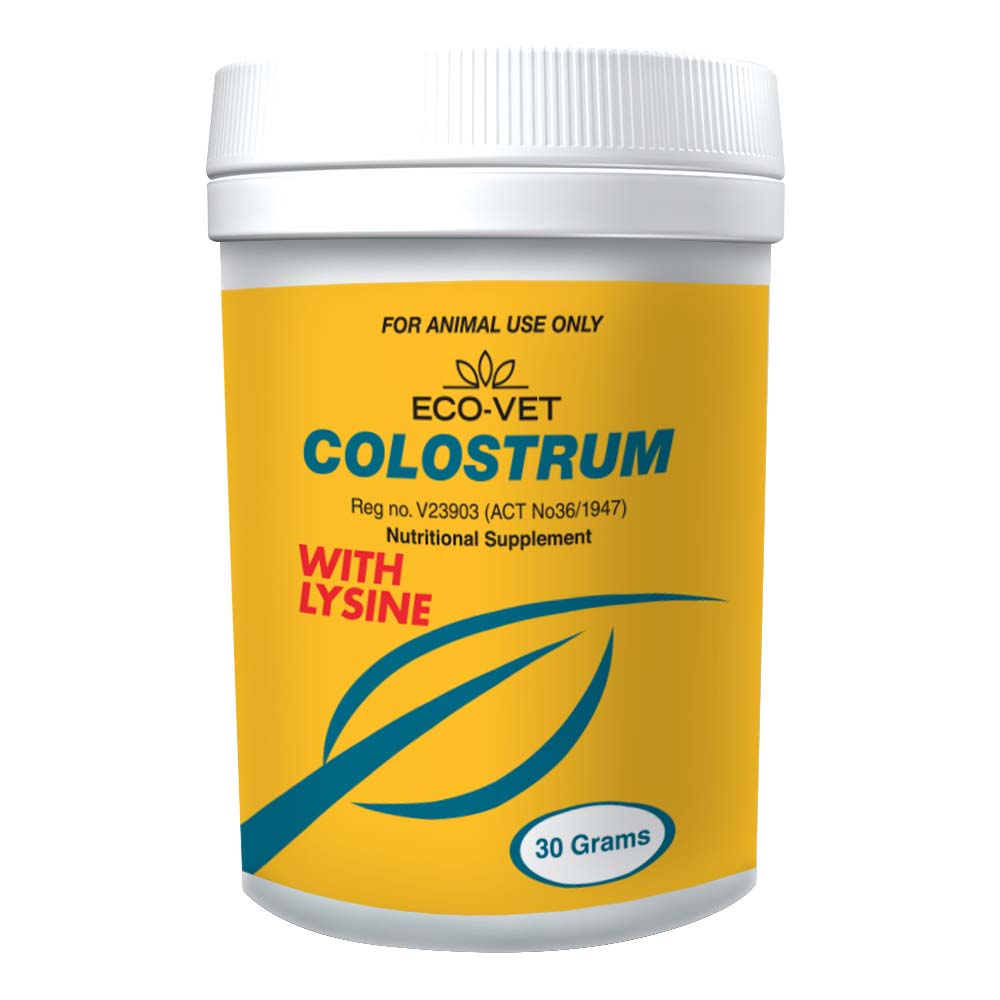 Ecovet Colostrum Powder 30g