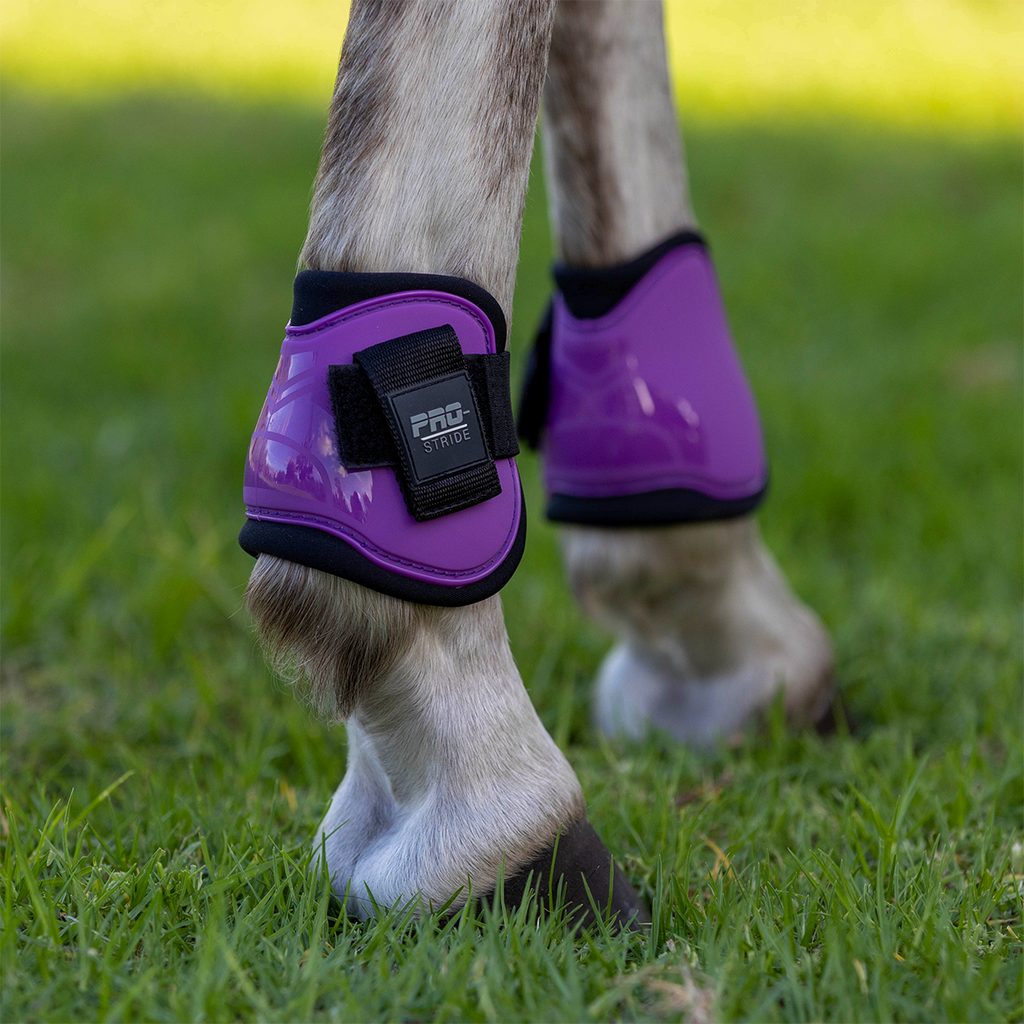 Pro stride tendon boot set Cob Size