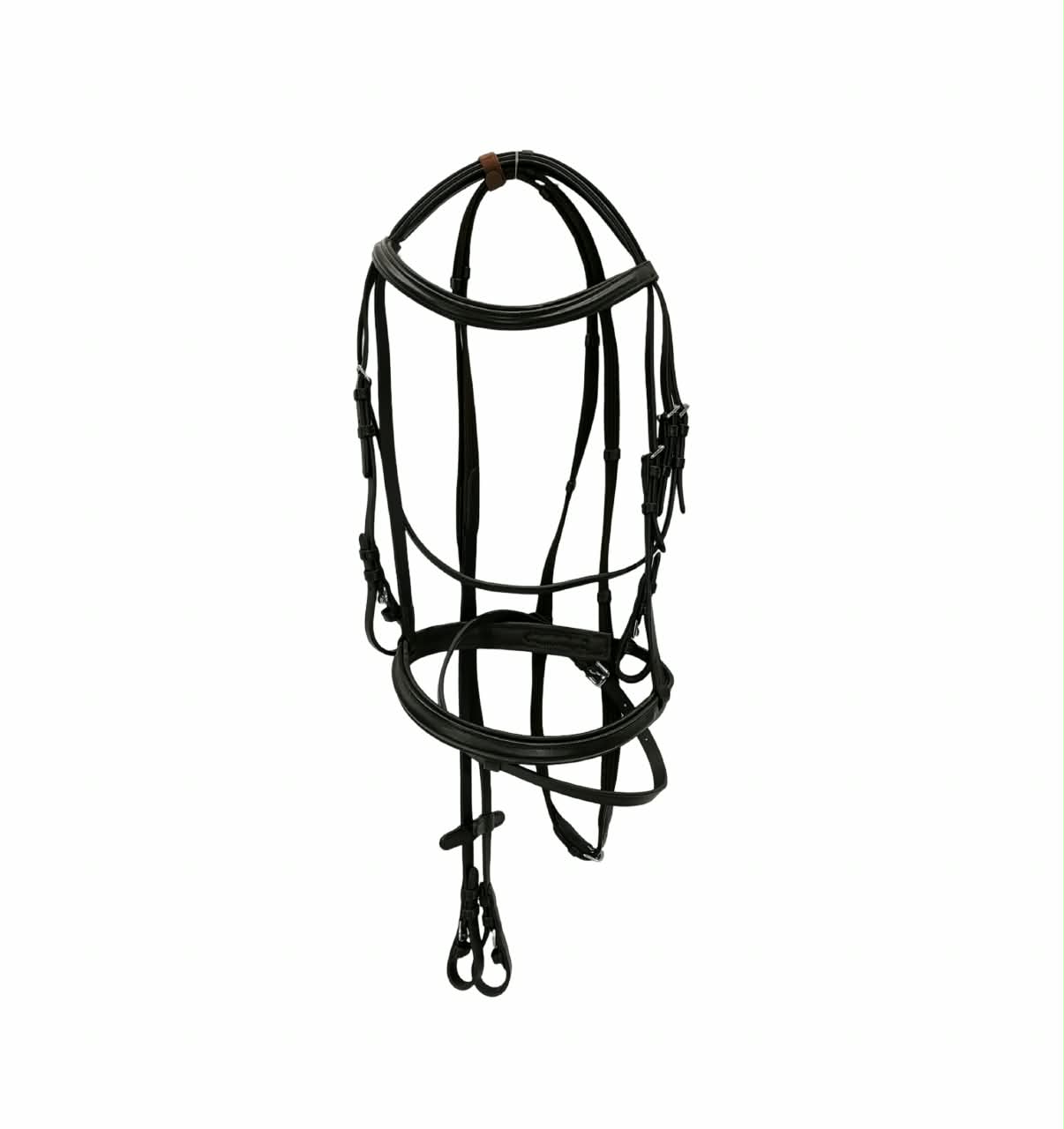 Bridle Equisport Brown