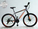 Planet Trendy 29" with shock - 19" Frame