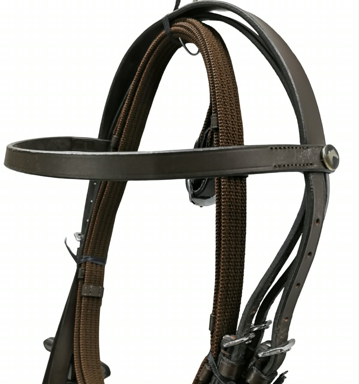 Bridle caveson