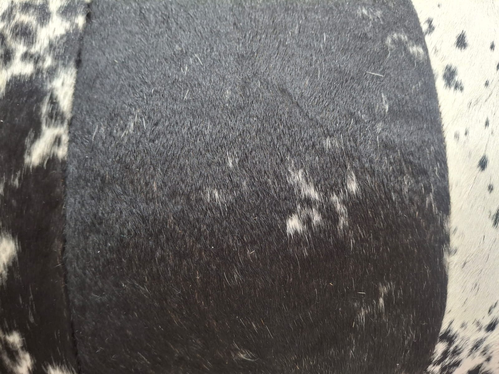Nguni cushion small Pelle Lux