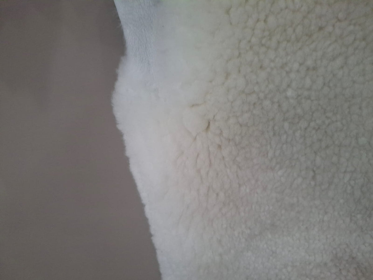 Sheepskin 20 - 25mm long wool good for decor