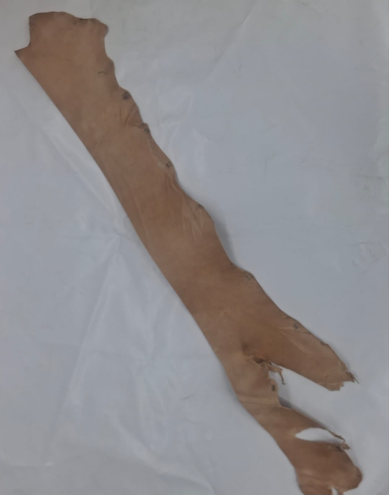 Image alt