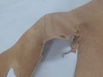Leather bellies veg tan natural : substance range: 1.3 to 3 mm