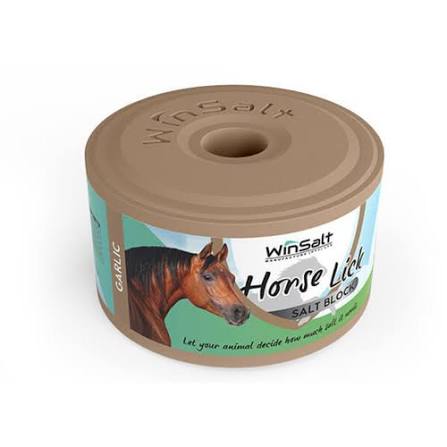 WinSalt Garlic Equine Lick 2kg