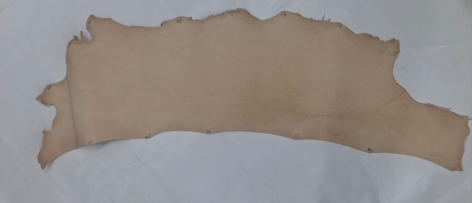 Leather veg tan shoulders 1mm-2mm grade 2 per dm natural colour